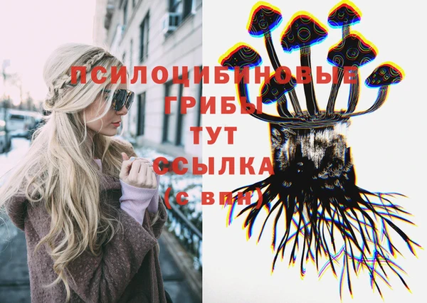 метадон Арсеньев