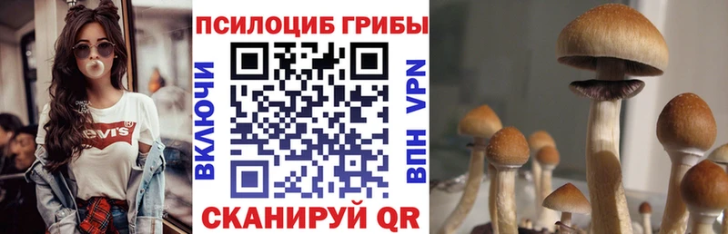 Псилоцибиновые грибы Psilocybe  площадка клад  Россошь  ссылка на мегу маркетплейс 